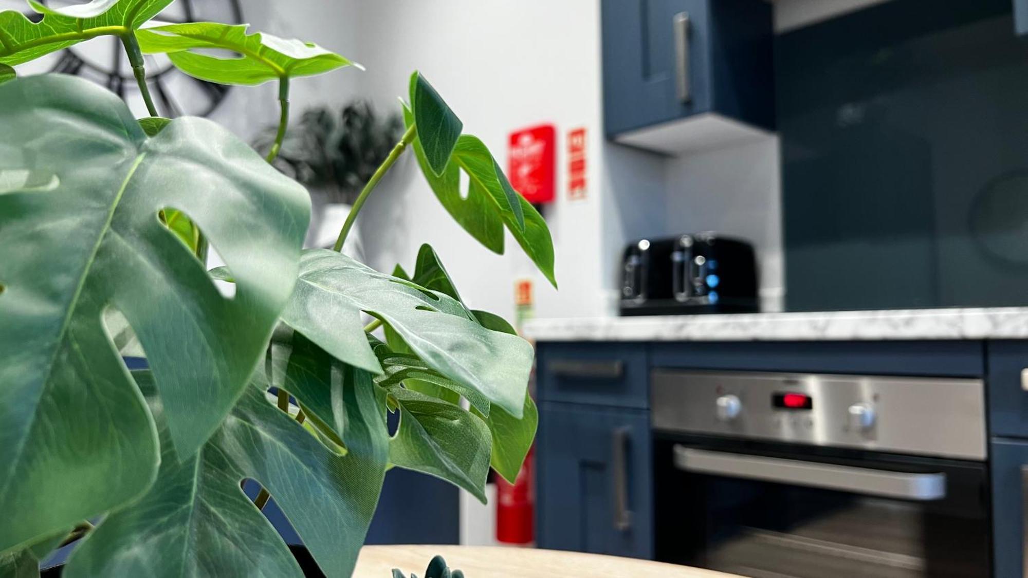 Studio On The Rows - Central City Centre Chester Ngoại thất bức ảnh